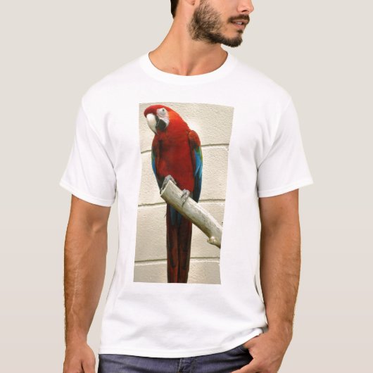 Scharlachrot Macaw- T-Shirt (Vorderseite)