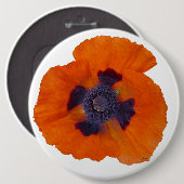 Scharlachrot Orange Poppy 1 Button (Vorne & Hinten)