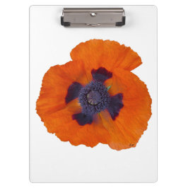 Scharlachrot Orange Poppy 1 Klemmbrett
