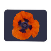 Scharlachrot Orange Poppy 1 Magnet (Horizontal)