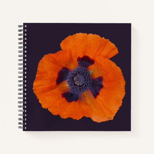 Scharlachrot Orange Poppy 1 Notizblock (Vorderseite)
