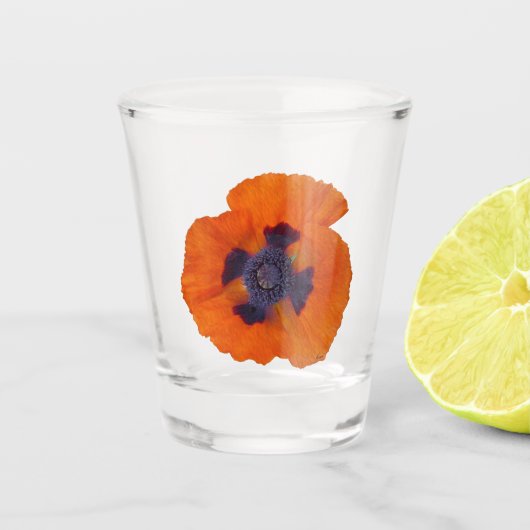 Scharlachrot Orange Poppy 1 Schnapsglas (Vorderseite)