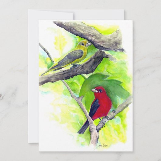Scharlachrote Tanager Vögel Aquarellmalerei Dankeskarte (Vorderseite)