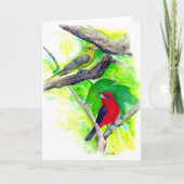 Scharlachrote Tanager Vögel Aquarellmalerei Karte (Vorderseite)