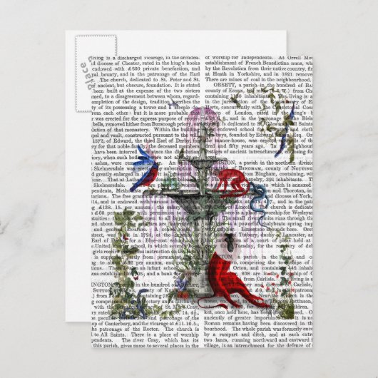 Scharlachroter Affe 2 Postkarte (Vorne/Hinten)