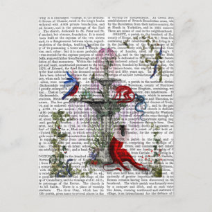 Scharlachroter Affe 2 Postkarte