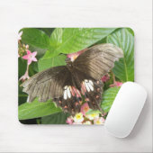Scharlachrotes Frack Butterfly Macro Mousepad (Mit Mouse)