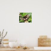Scharlachrotes Frack Butterfly Macro Print Poster (Küche)