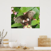 Scharlachrotes Frack Butterfly Macro Print Poster (Küche)