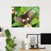 Scharlachrotes Frack Butterfly Macro Print Poster (Heimbüro)