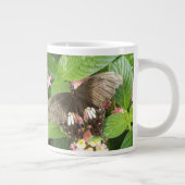 Scharlachrotes Frack Schmetterling Makro Tasse (Rechts)