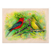 Scharlachteppiche Aquarellfarbener Bleistift Zeich Fotodruck (Vorne)