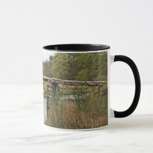Scharnierventil-Brücke in Dartmoor Nationalpark Tasse