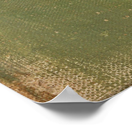 Schatten auf der Mauer, Helene Schjerfbeck Poster (Ecke)