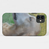 Schatten, der goldene Retriever Case-Mate iPhone Hülle (Rückseite (Horizontal))