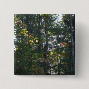 Schatten der Herbstbaumen Button