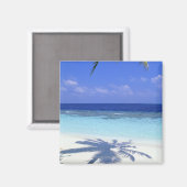 Schatten der Palme Magnet (Vorderseite/Rückseite)