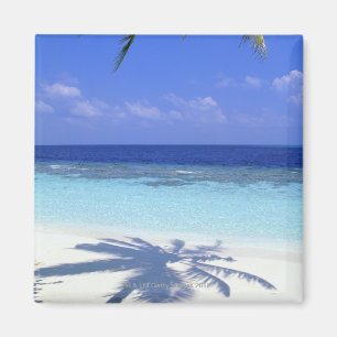 Schatten der Palme Magnet