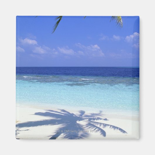 Schatten der Palme Magnet (Vorne)