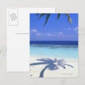 Schatten der Palme Postkarte (Vorne/Hinten)