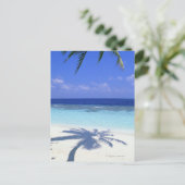 Schatten der Palme Postkarte (Stehend Vorderseite)