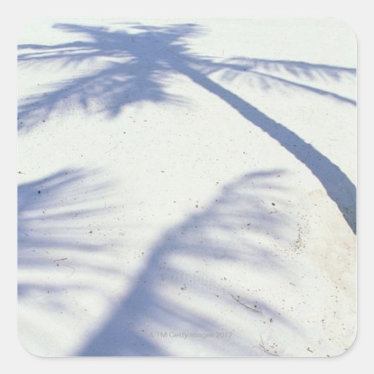 Schatten der Palme Tree 2 Quadratischer Aufkleber (Vorderseite)