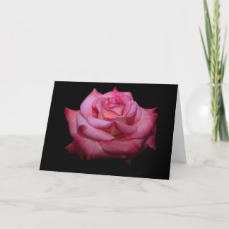 Schatten der rosa Rosen-Karte - freier Raum Karte