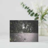 Schatten des Orb-Weaver - Spider-Foto Postkarte (Stehend Vorderseite)