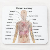 Schatten-Diagramm der menschlichen Anatomie Mousepad (Vorne)