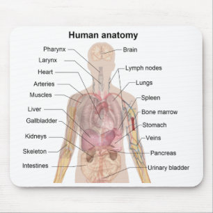 Schatten-Diagramm der menschlichen Anatomie Mousepad