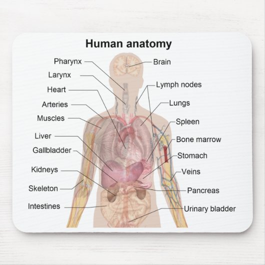Schatten-Diagramm der menschlichen Anatomie Mousepad (Vorne)