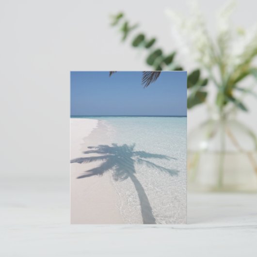 Schatten einer Palme an einem menschenleeren Stran Postkarte (Stehend Vorderseite)