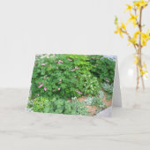 Schatten-Garten 1 Karte (Gelbe Blume)