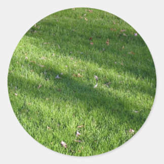 Schatten im Gras Runder Aufkleber