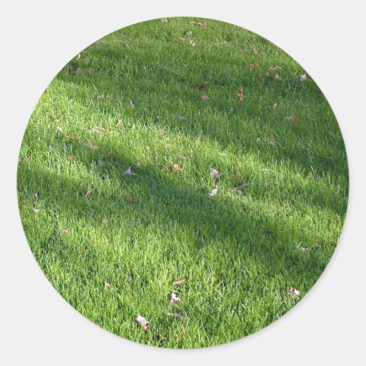 Schatten im Gras Runder Aufkleber (Vorderseite)