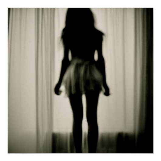 Schatten im Morgenlicht Poster (Vorderseite)