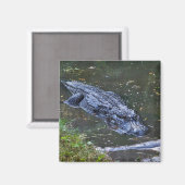 Schatten in den Untiefen Magnet (Vorderseite/Rückseite)