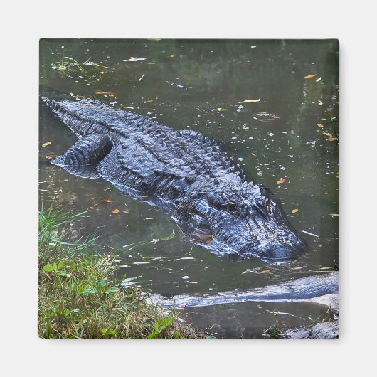 Schatten in den Untiefen Magnet (Vorne)