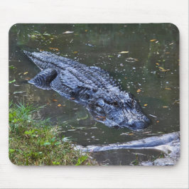 Schatten in den Untiefen Mousepad