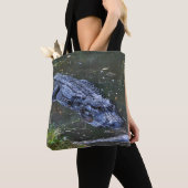 Schatten in den Untiefen Tasche (Von Nahem)