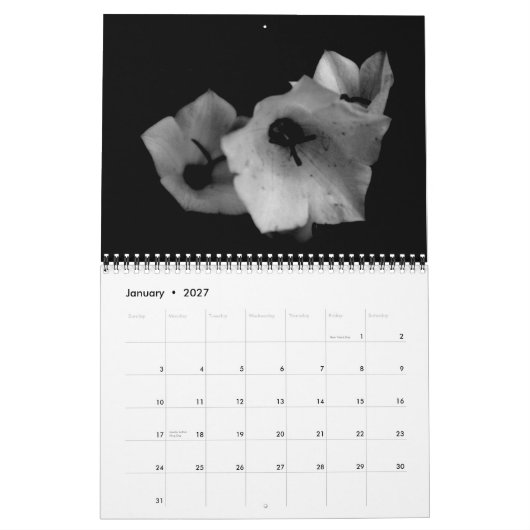 Schatten Kalender (Jan 2027)