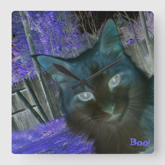 Schatten-Katze in der Amethyst Wanduhr (Vorderseite)