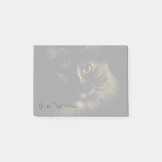 Schatten-Katzen-Kunst-Fotografie-grüne Post-it Klebezettel (Vorderseite)