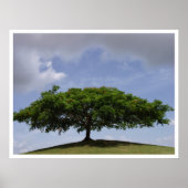 Schatten Poster (Vorne)