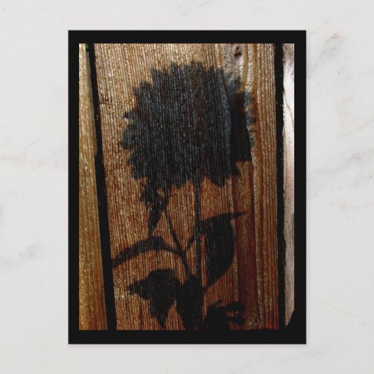 Schatten Postkarte (Vorderseite)