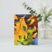 Schatten Postkarte (Stehend Vorderseite)