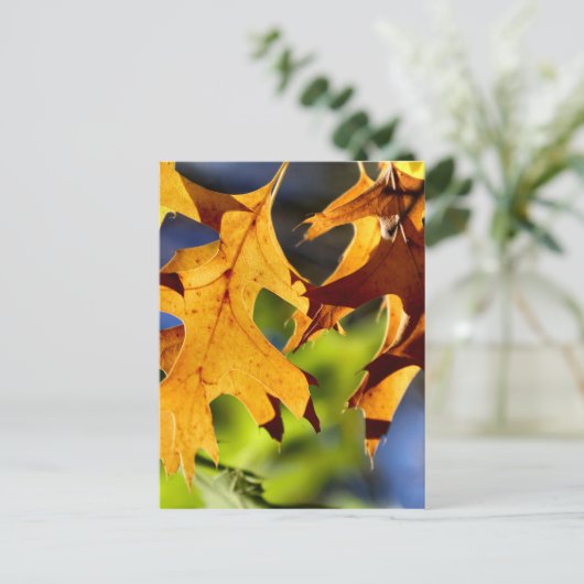 Schatten Postkarte (Stehend Vorderseite)