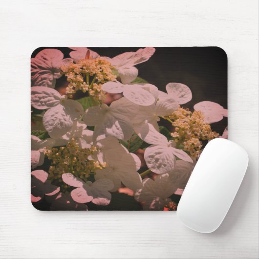 Schatten und leichte Lacecap Hydrangea-Blume Mousepad (Mit Mouse)
