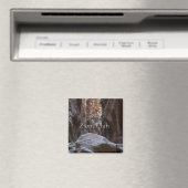 Schatten und Licht in den Pfeilen Magnet (In Situ (Geschirrspüler))
