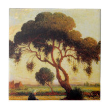 Schattenbaum